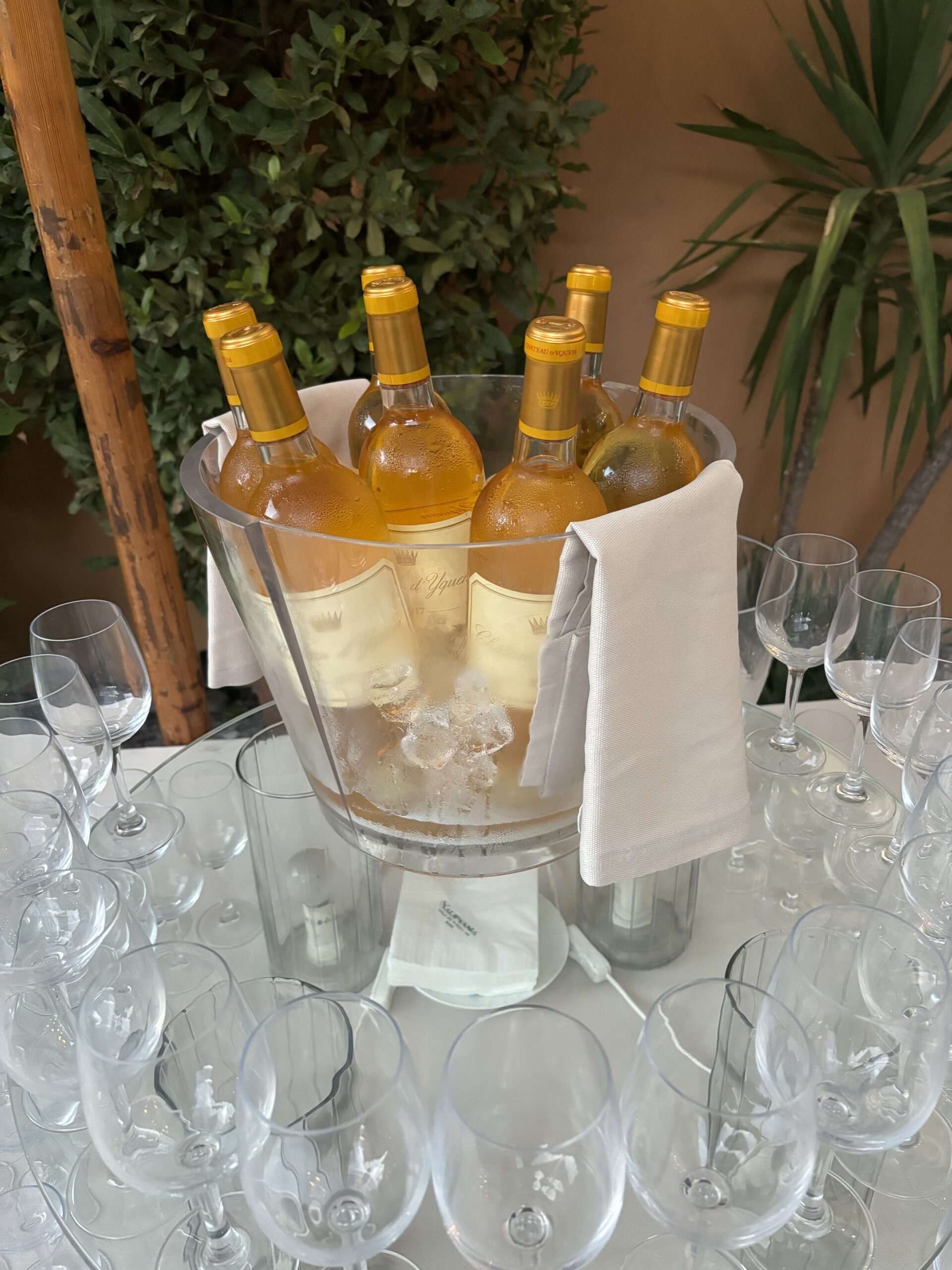 Pandolfini_Yquem_6